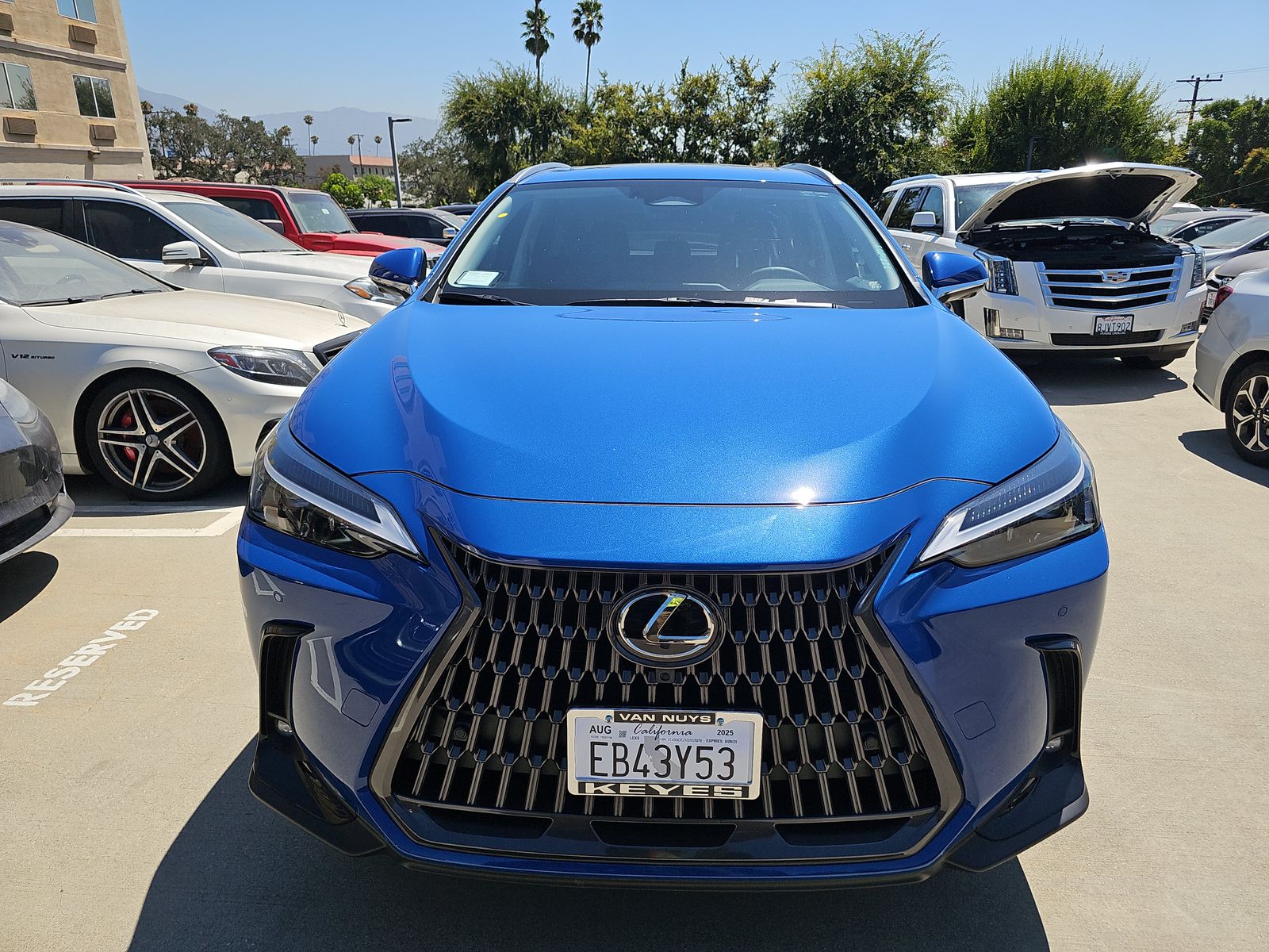 2025 Lexus NX NX 350 Premium AWD