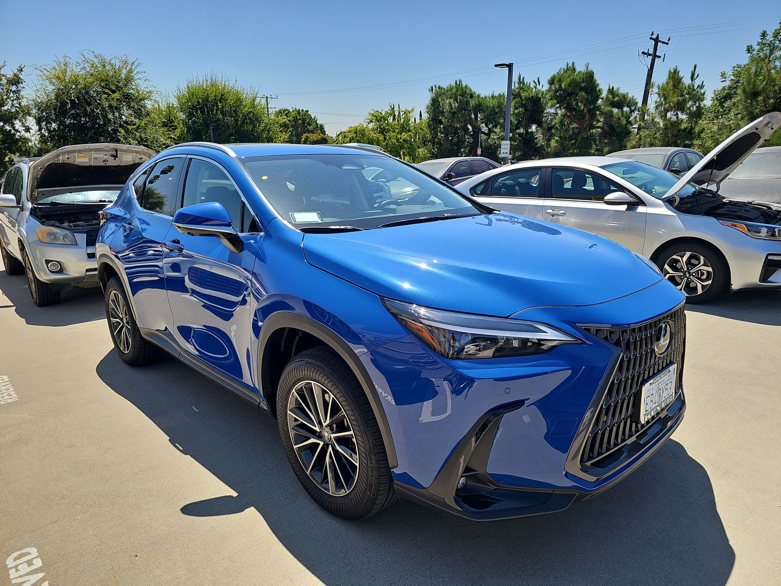 2025 Lexus NX NX 350 Premium AWD