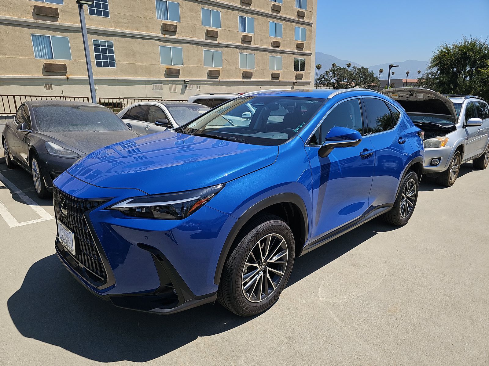 2025 Lexus NX NX 350 Premium AWD