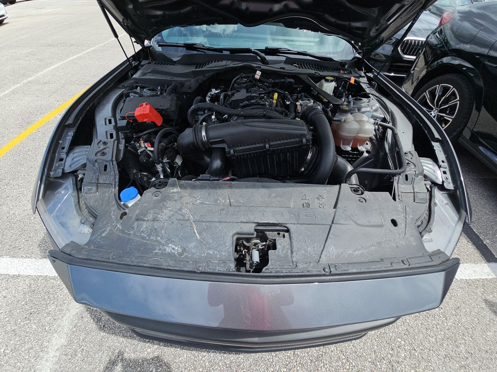 2024 Ford Mustang EcoBoost Premium RWD