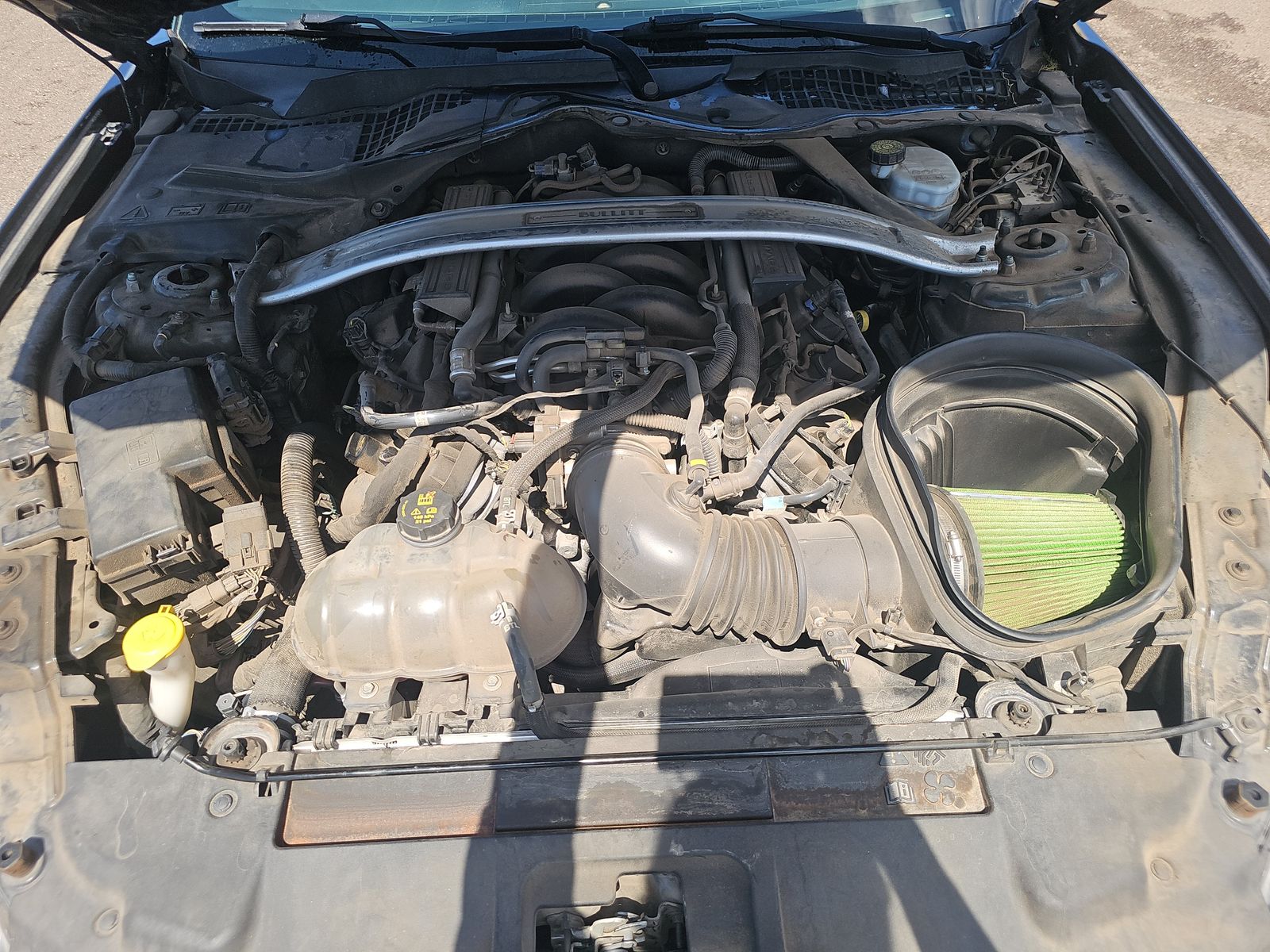 2019 Ford Mustang BULLITT RWD