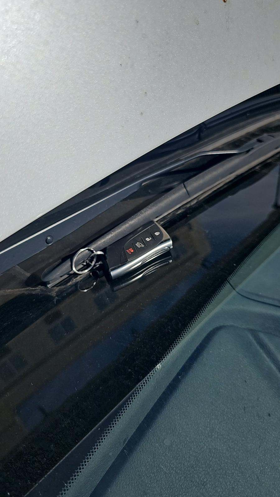 2024 Lexus NX NX 350 AWD