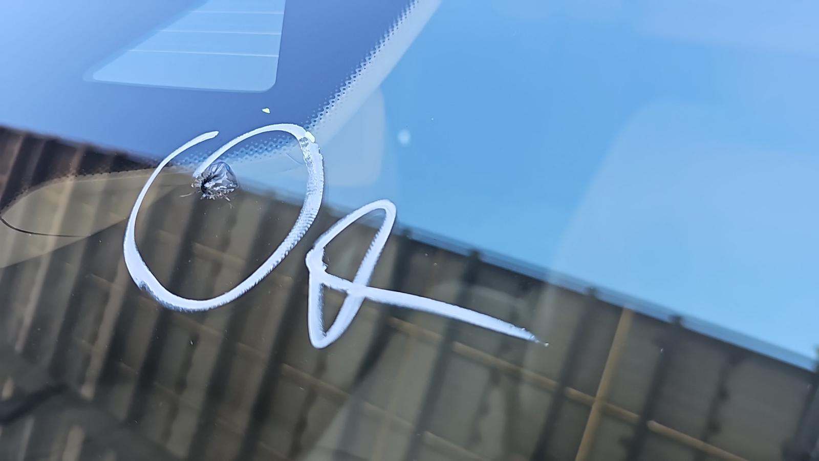 2019 Mercedes-Benz S-Class S 560 RWD