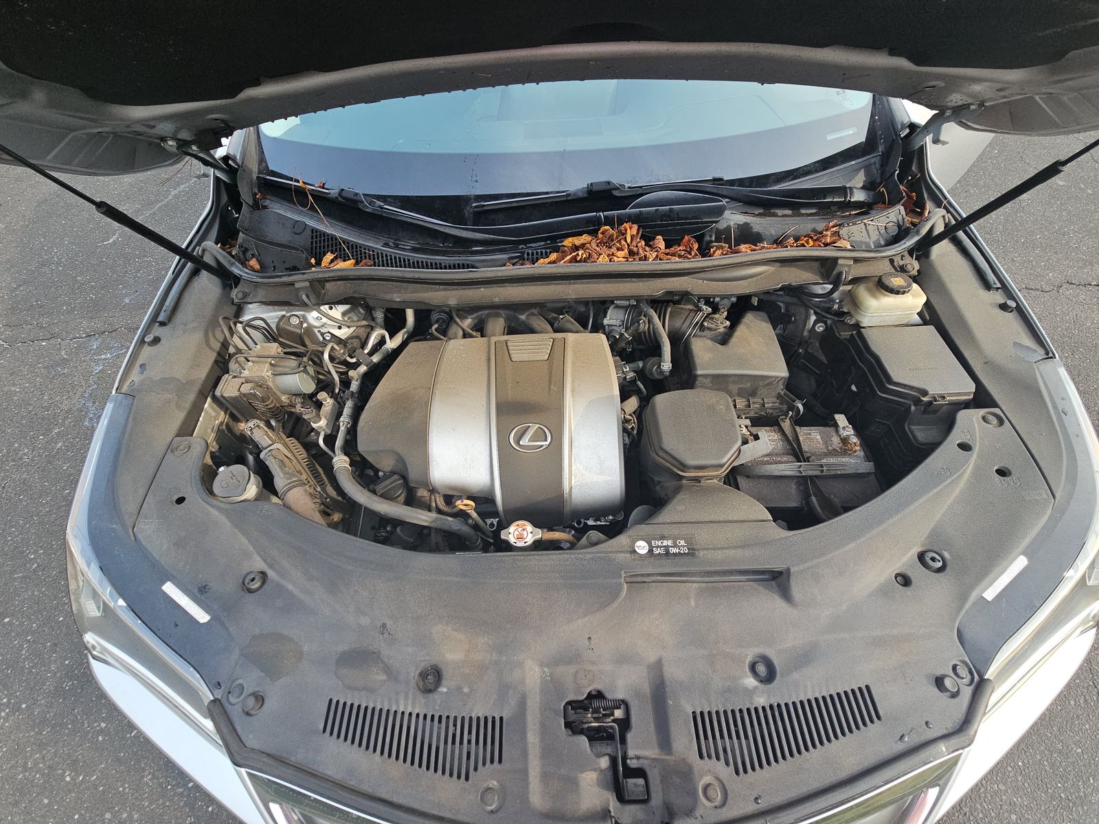 2019 Jeep Cherokee Trailhawk AWD