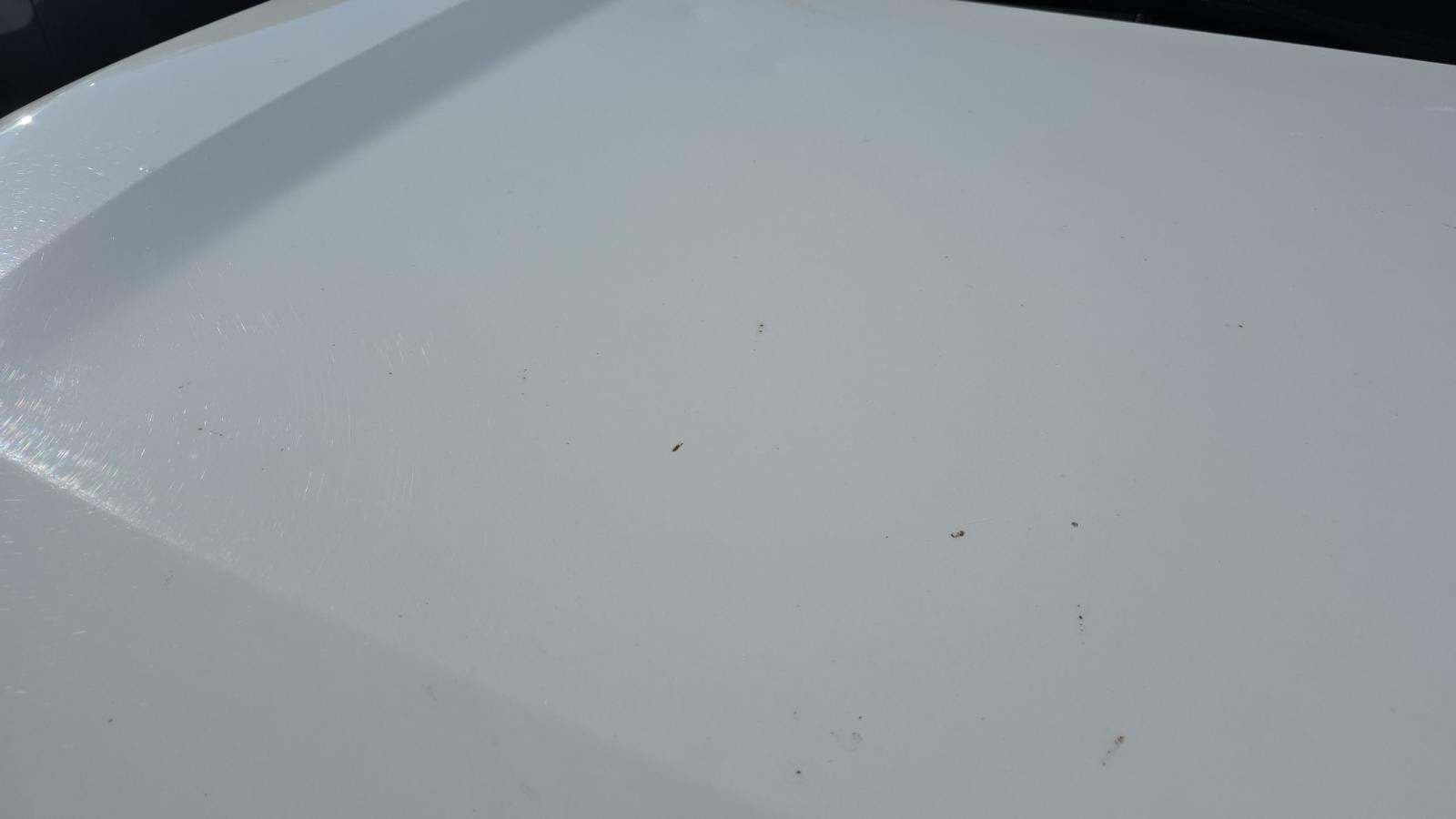 2019 Toyota RAV4 LE AWD