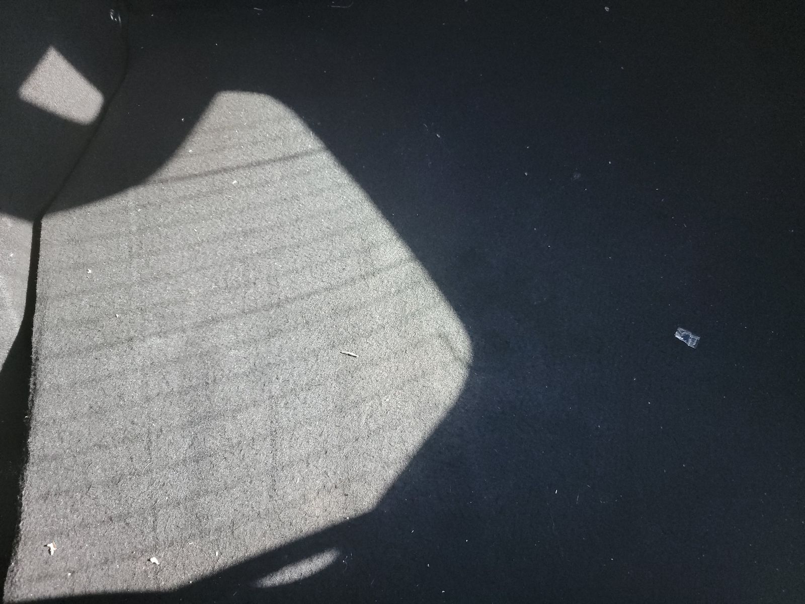 2018 Toyota C-HR XLE FWD