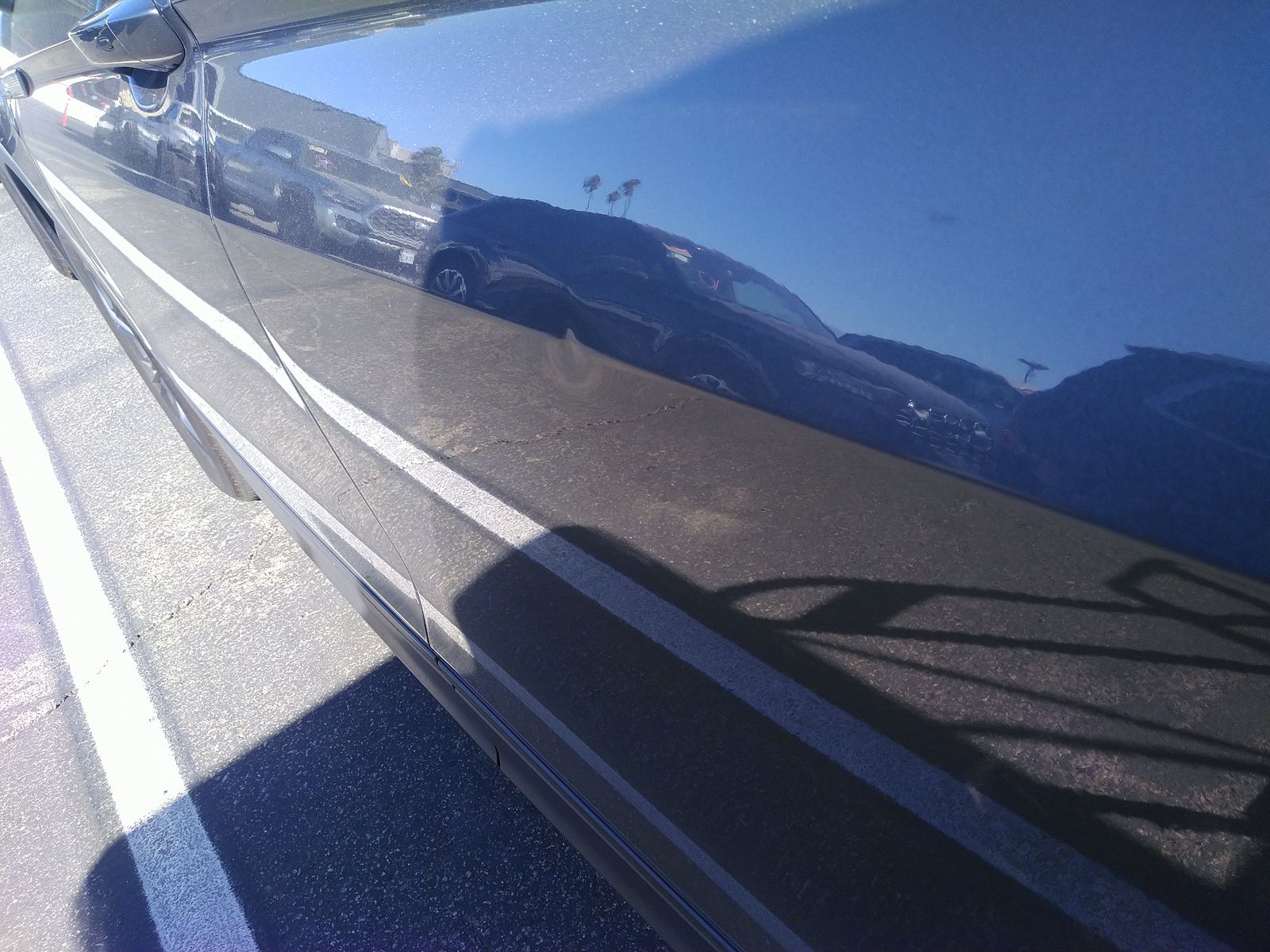 2024 Volkswagen Tiguan 2.0T SE FWD