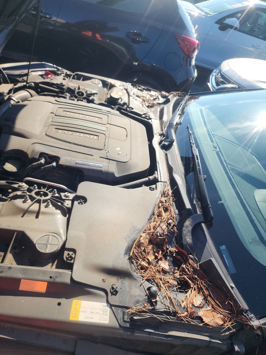 2014 Jaguar F-TYPE Base RWD