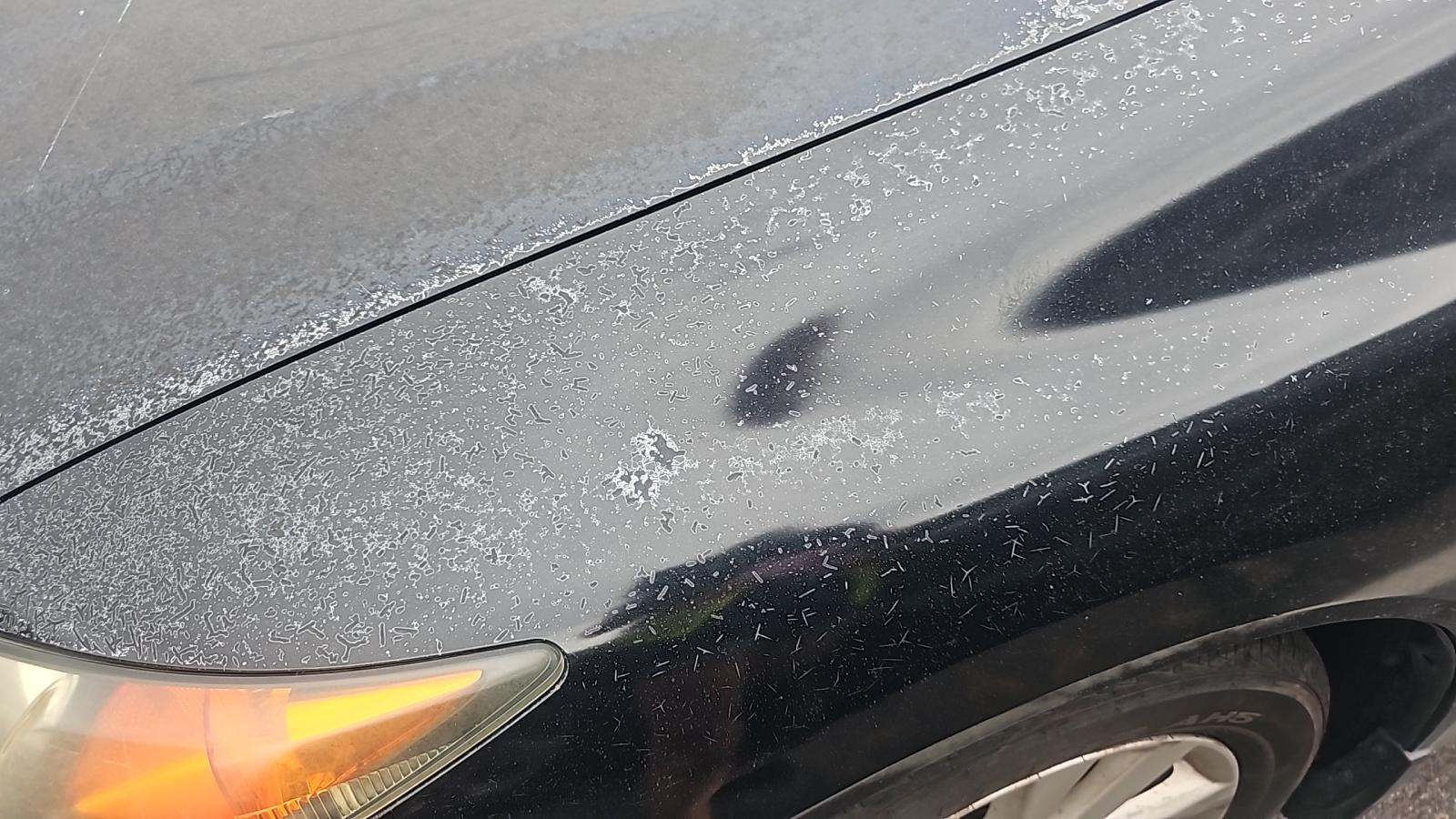 2012 Honda Civic EX FWD