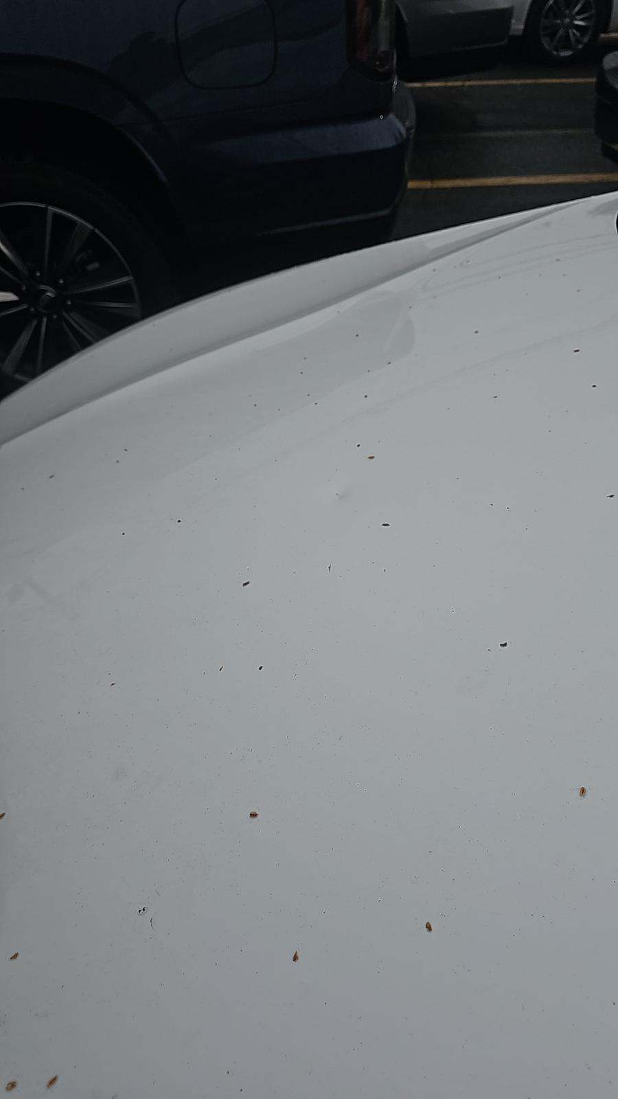 2015 Volvo S60 T5 Premier AWD