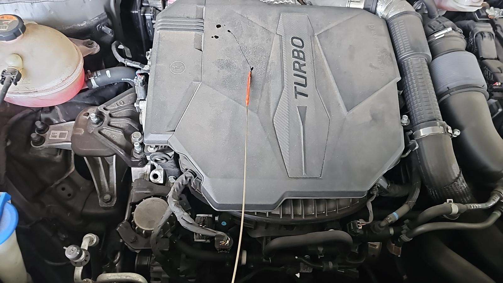 2022 Hyundai Santa Fe Calligraphy AWD