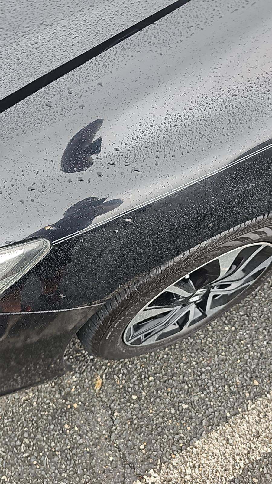 2013 Honda Civic EX FWD