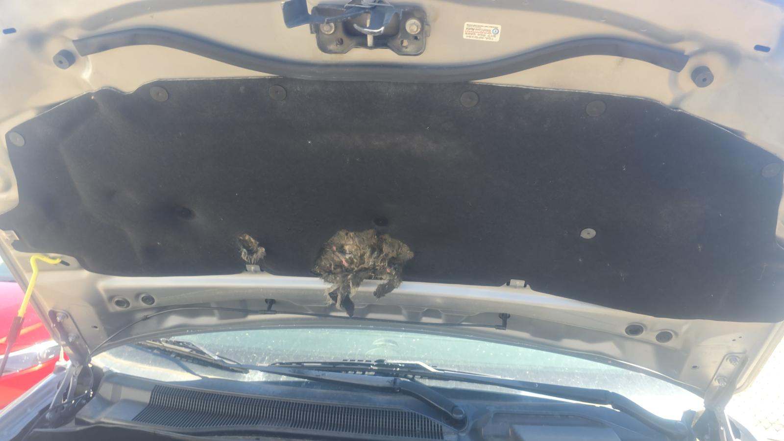 2015 Dodge Grand Caravan SXT FWD