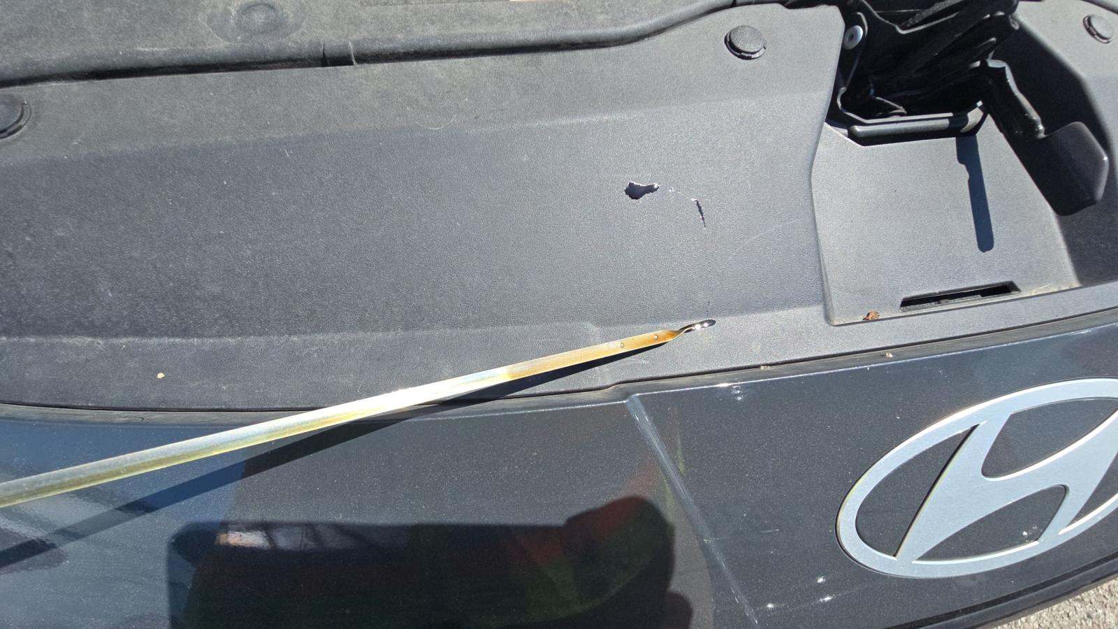 2025 Hyundai Elantra SEL Convenience FWD