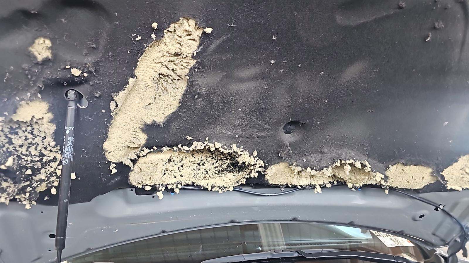 2022 Dodge Durango Citadel AWD