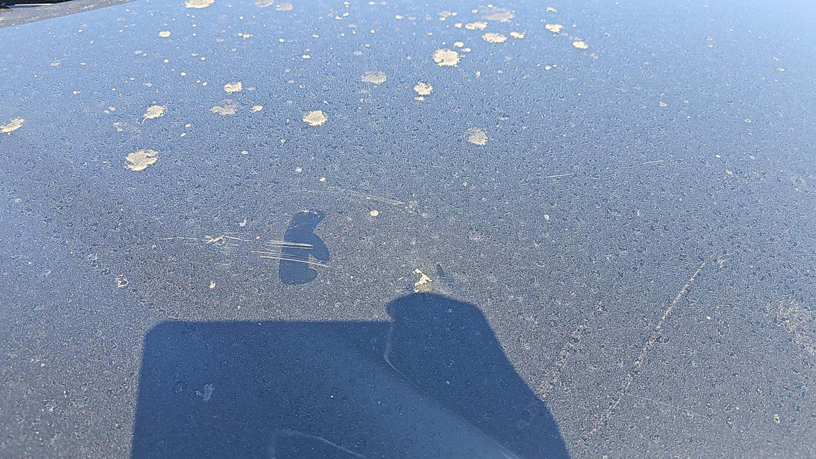 2024 Nissan Pathfinder S AWD