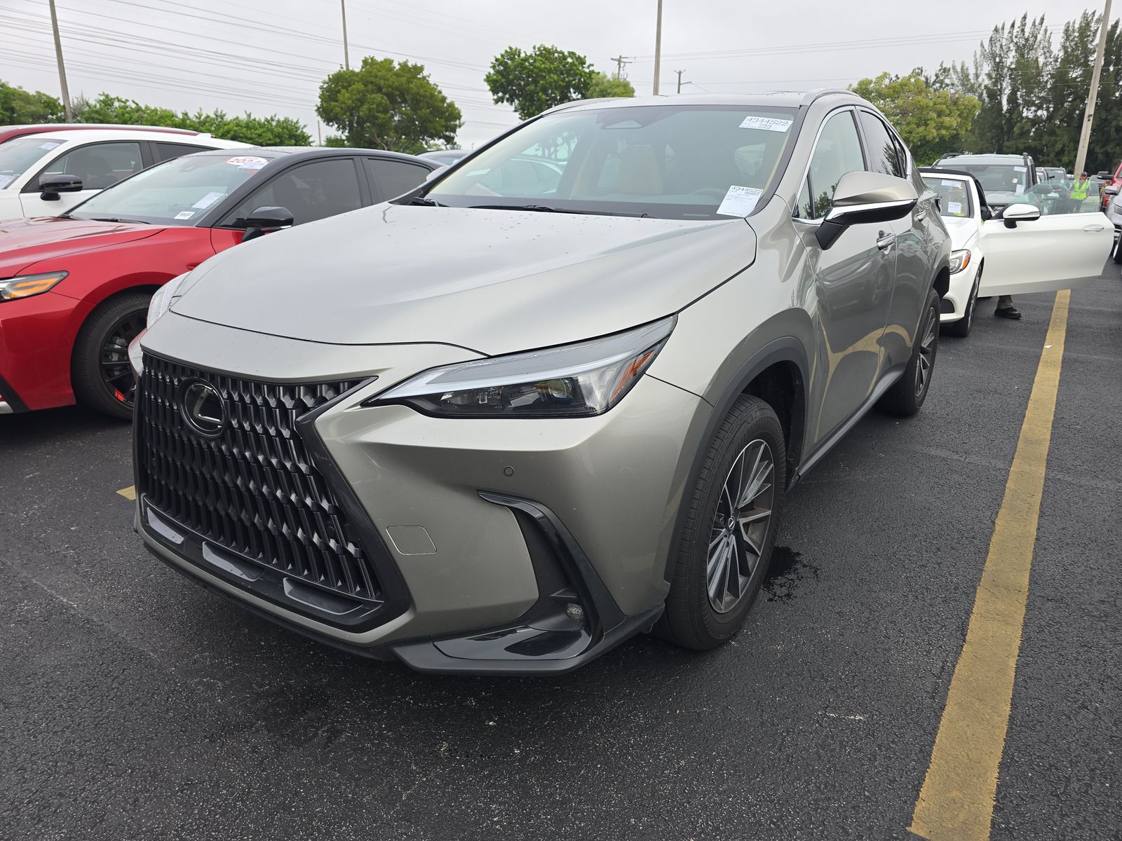 2025 Lexus NX 250 Premium