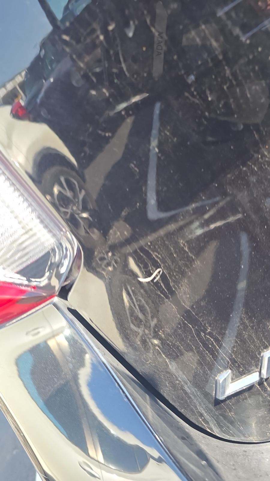 2024 Ford Explorer Limited RWD