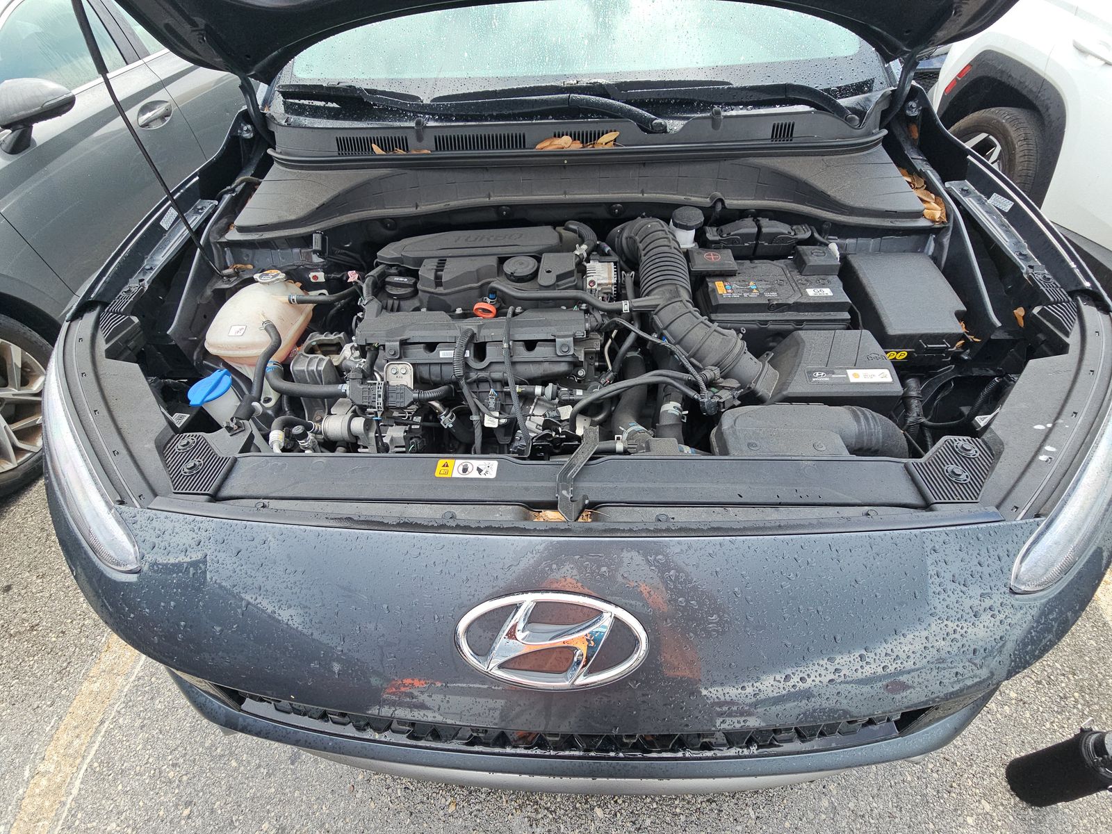 2023 Hyundai Kona Limited FWD