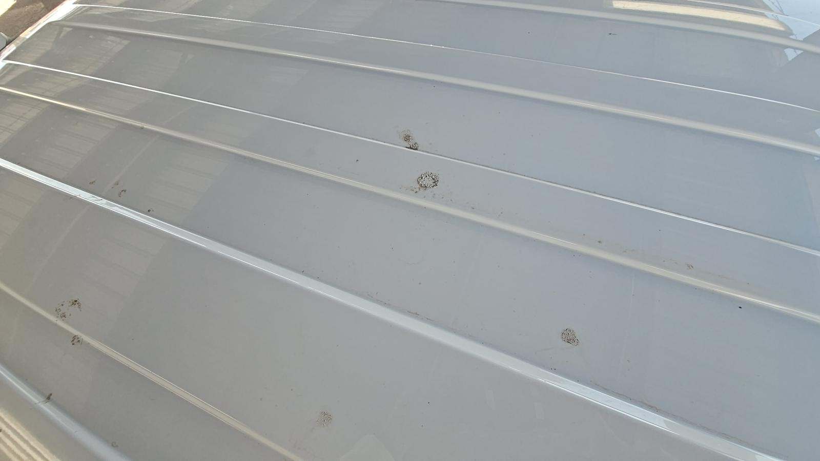 2019 Ford F-150 XLT RWD