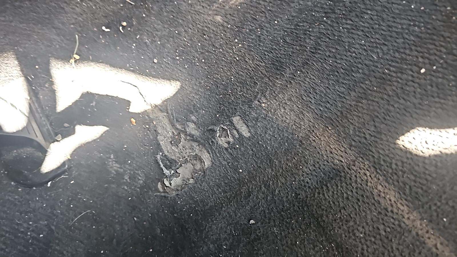 2024 Toyota Camry SE FWD