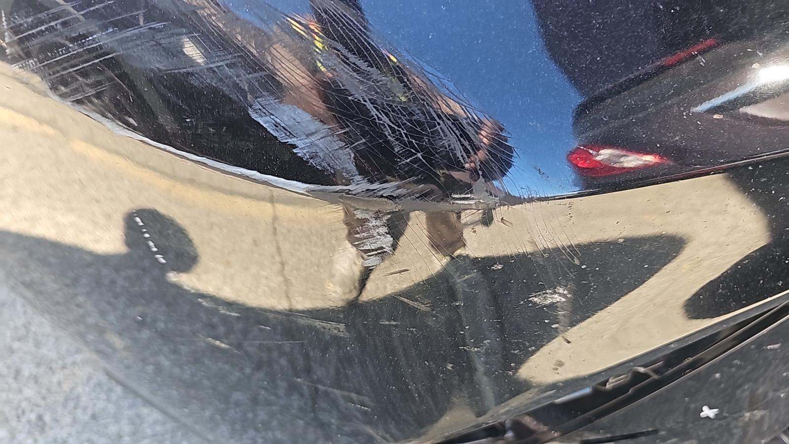 2024 Toyota Camry SE FWD