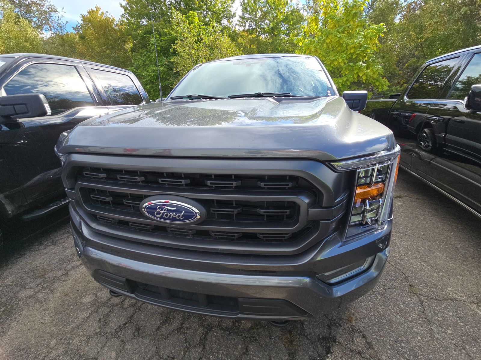 2023 Ford F-150 XLT AWD