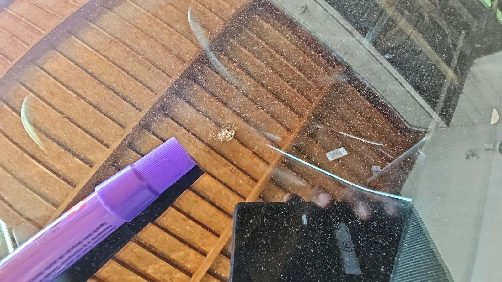 2019 Tesla Model 3 Standard Range RWD