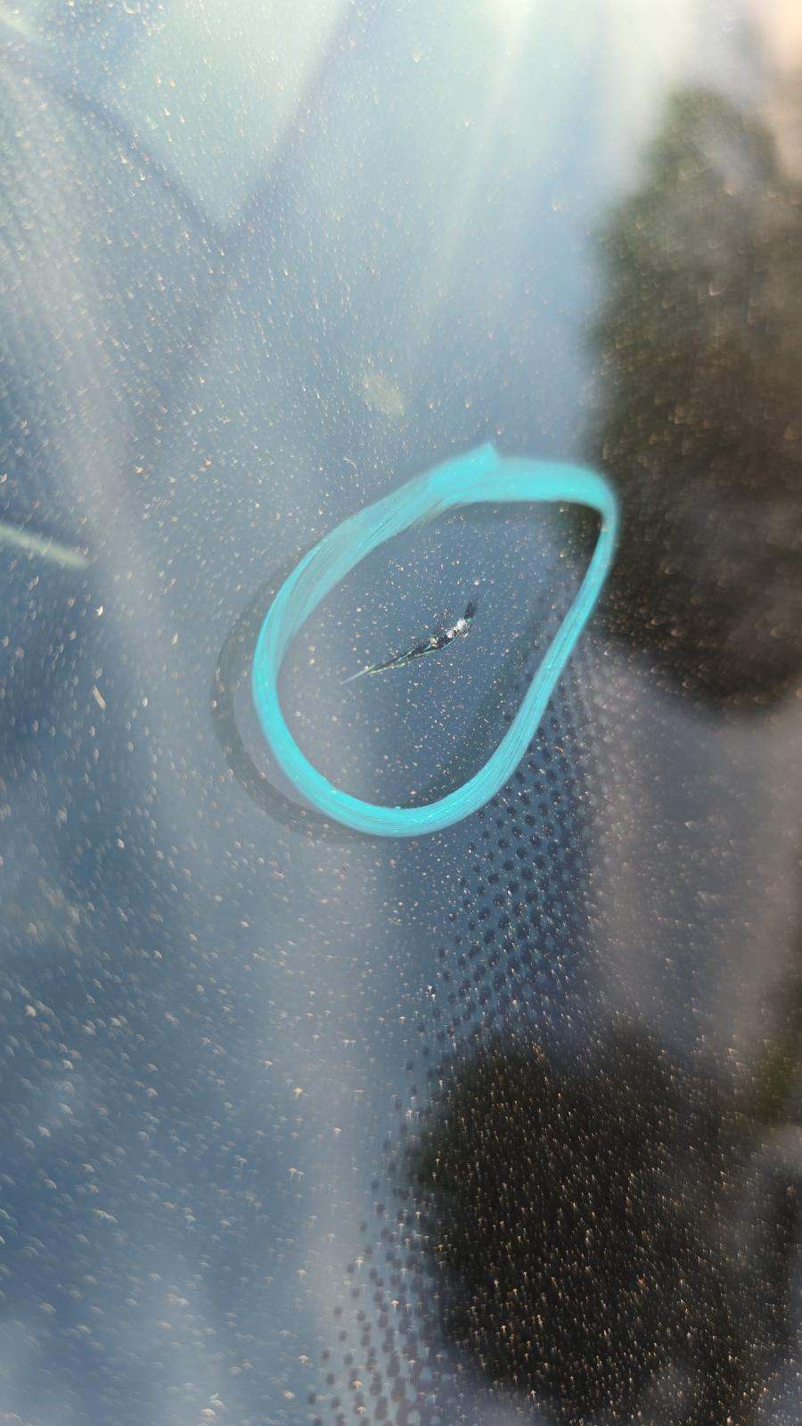 2025 Mercedes-Benz GLS GLS 450 AWD