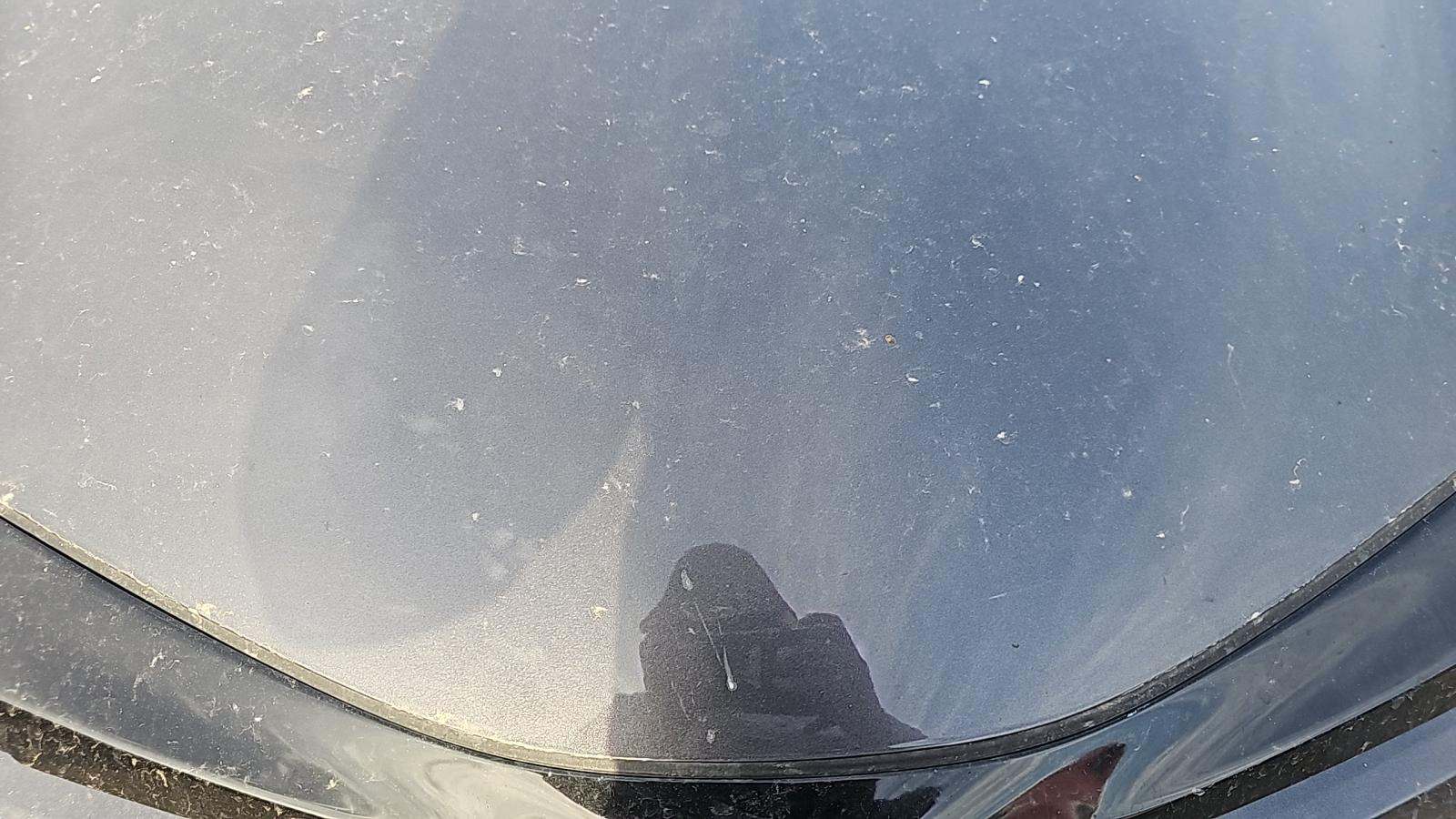 2021 Toyota C-HR XLE FWD