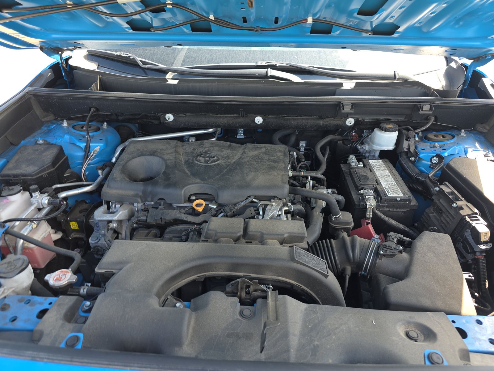 2019 Toyota RAV4 XLE AWD