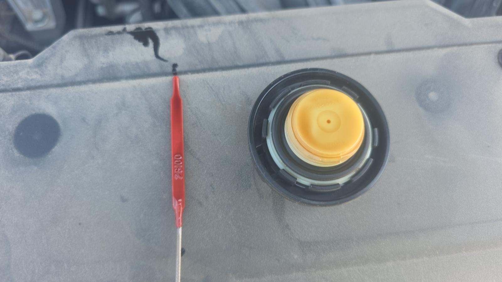 2024 Hyundai Tucson SEL FWD