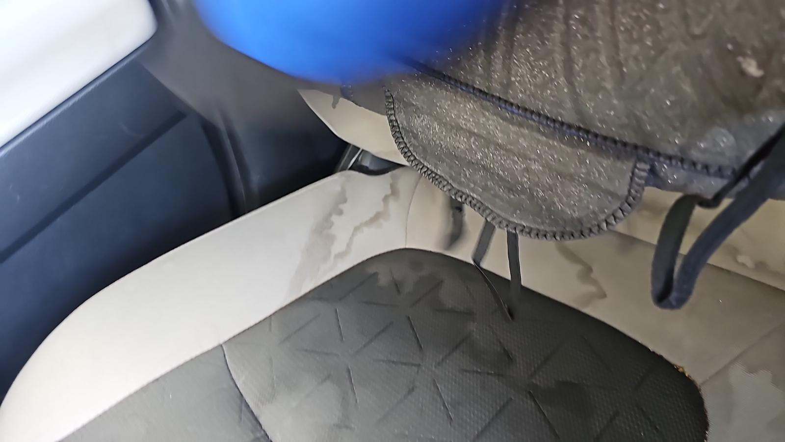 2019 Toyota RAV4 XLE AWD