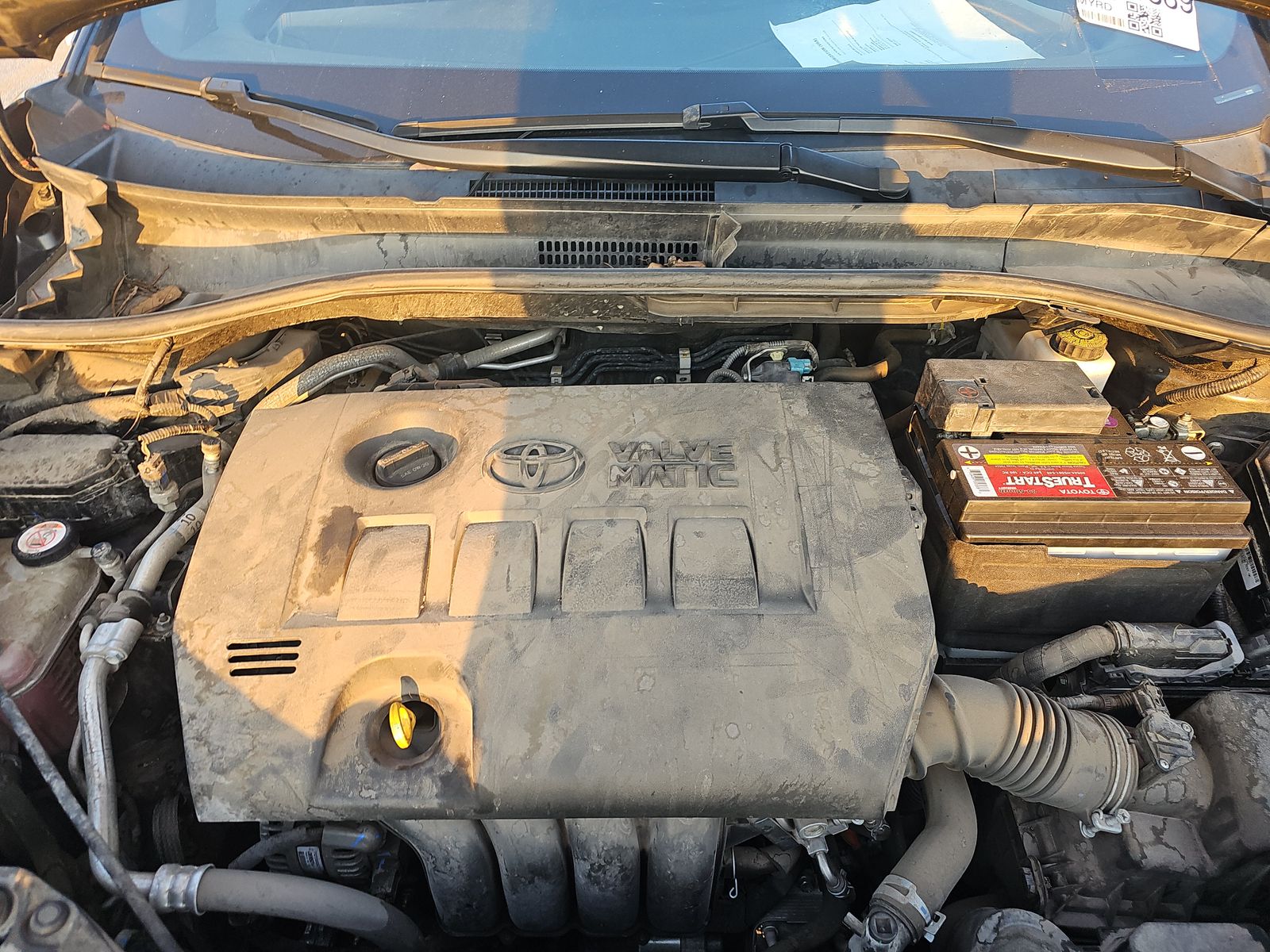 2019 Toyota C-HR LE FWD