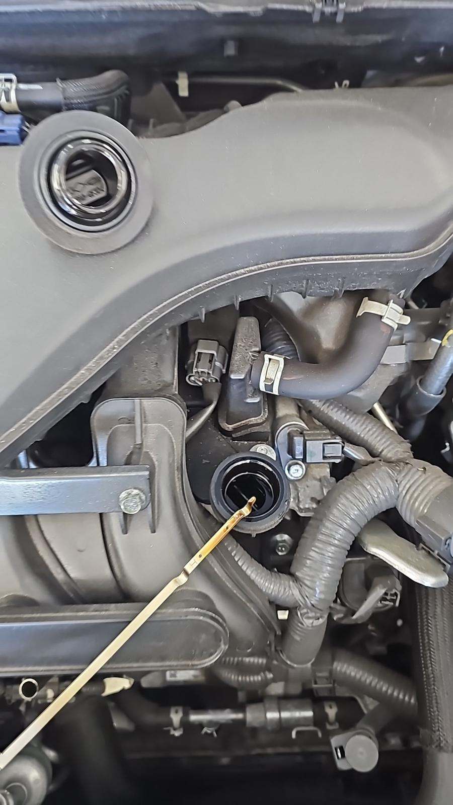 2022 Nissan Rogue Sport SV AWD