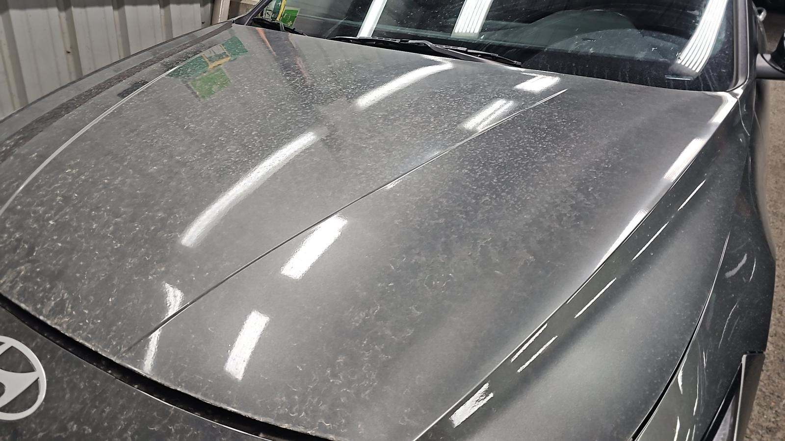 2024 Hyundai Elantra N Line FWD