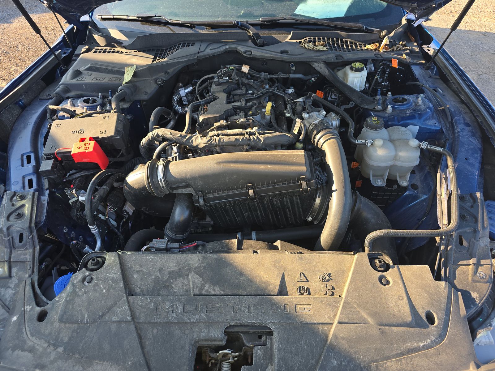 2024 Ford Mustang EcoBoost Premium RWD