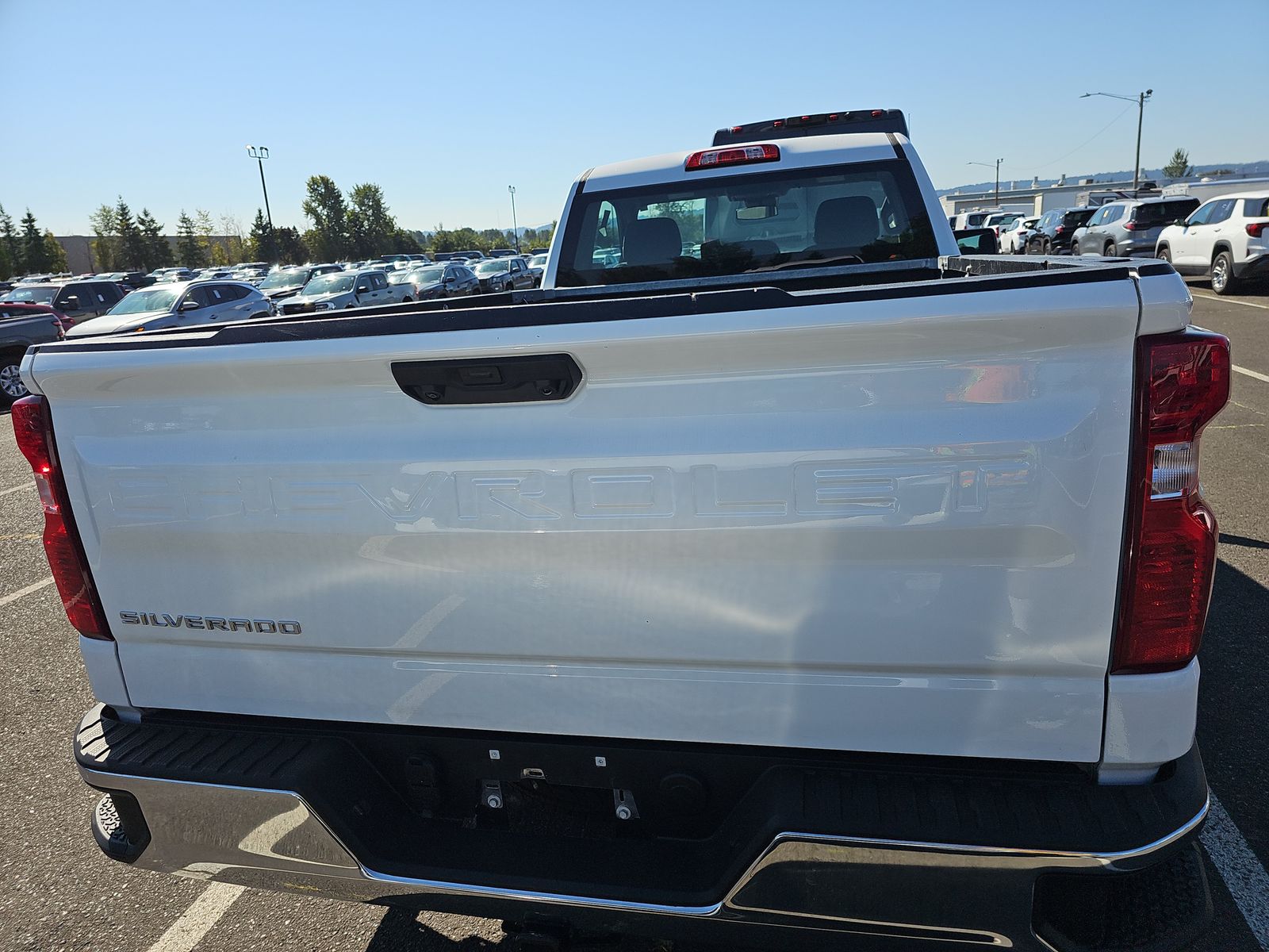 2024 Chevrolet Silverado 1500 Work Truck RWD