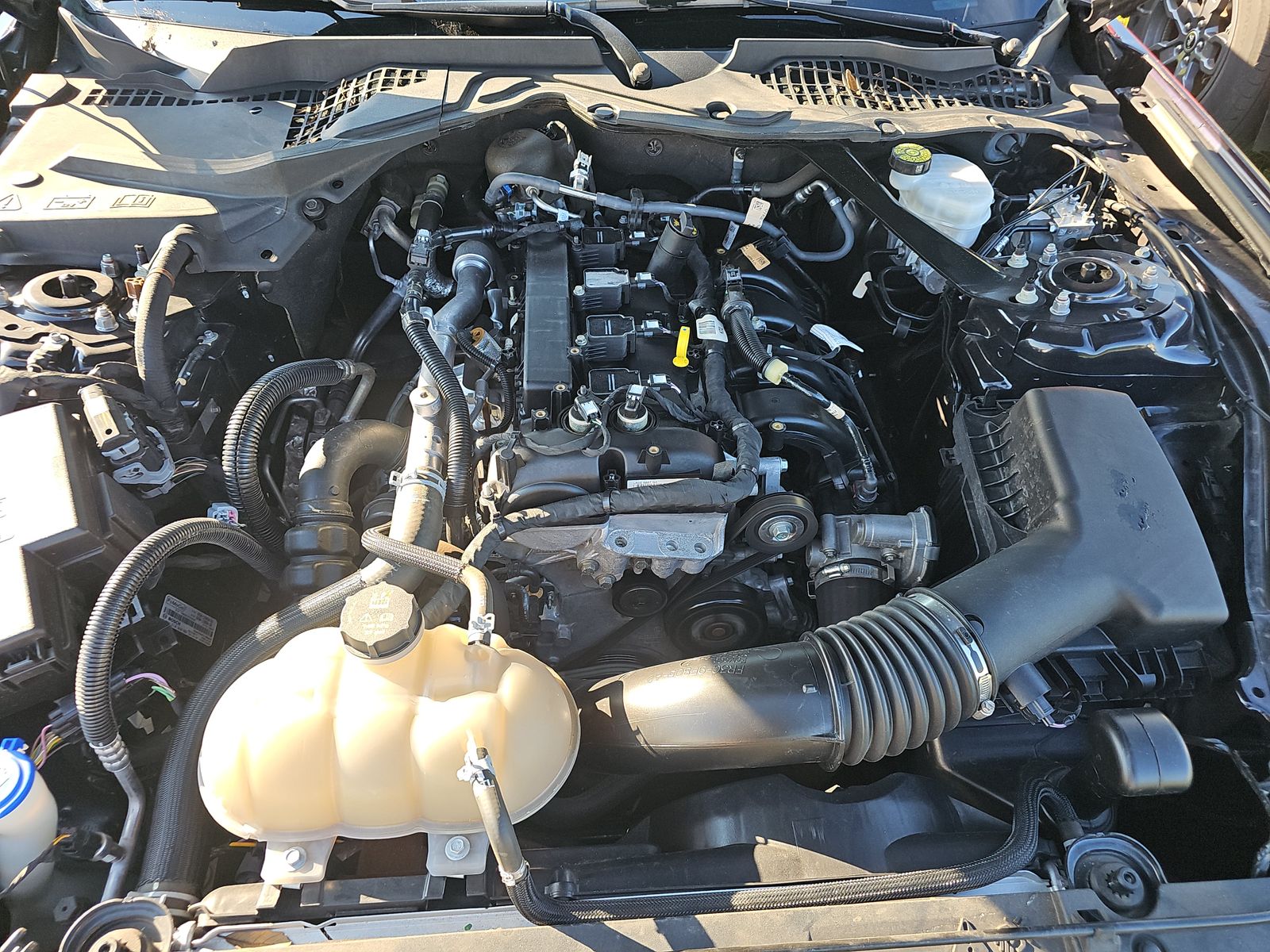 2023 Ford Mustang EcoBoost Premium RWD