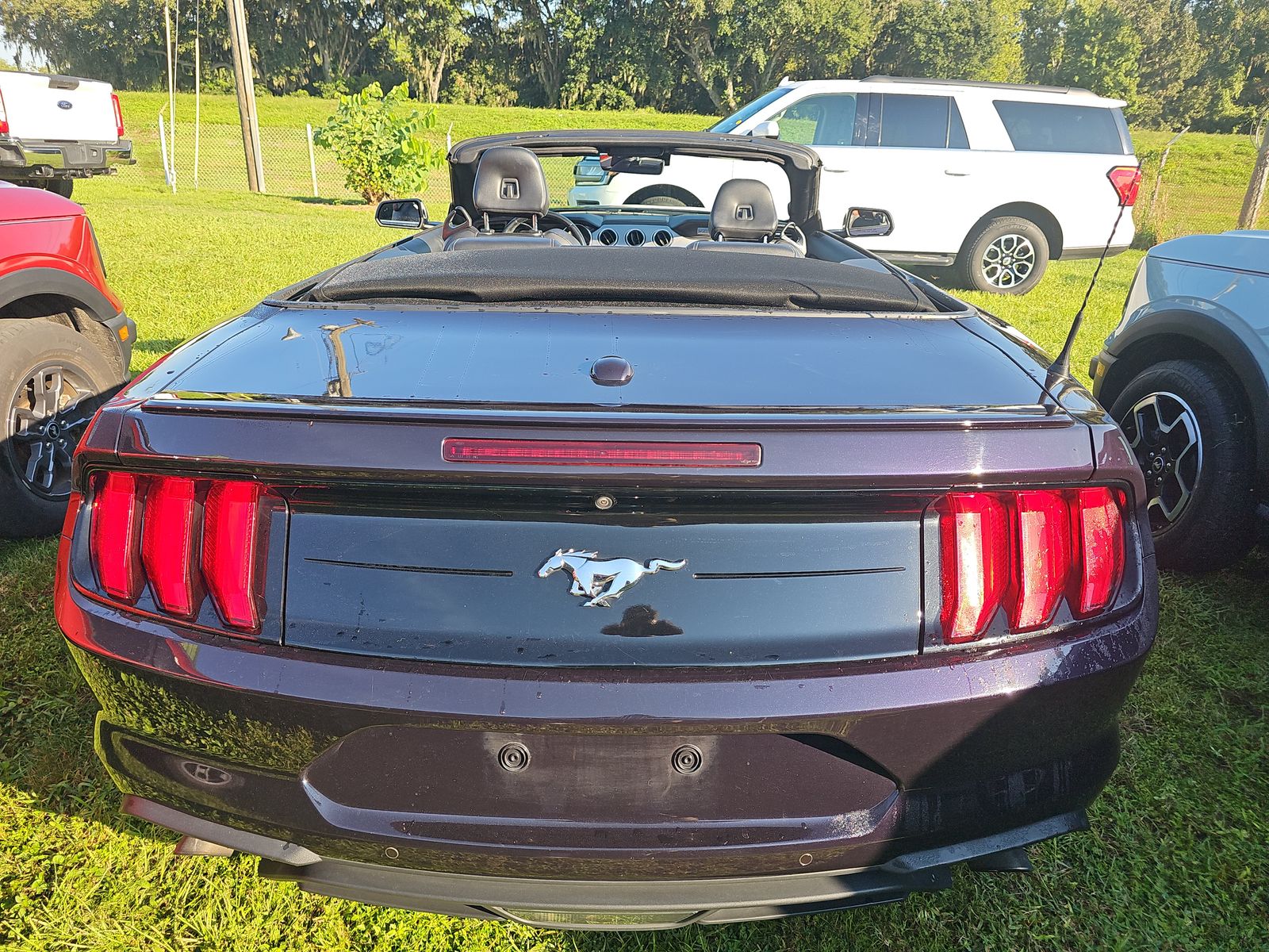 2023 Ford Mustang EcoBoost Premium RWD