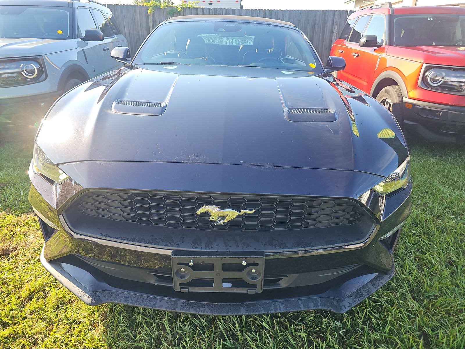 2023 Ford Mustang EcoBoost Premium RWD