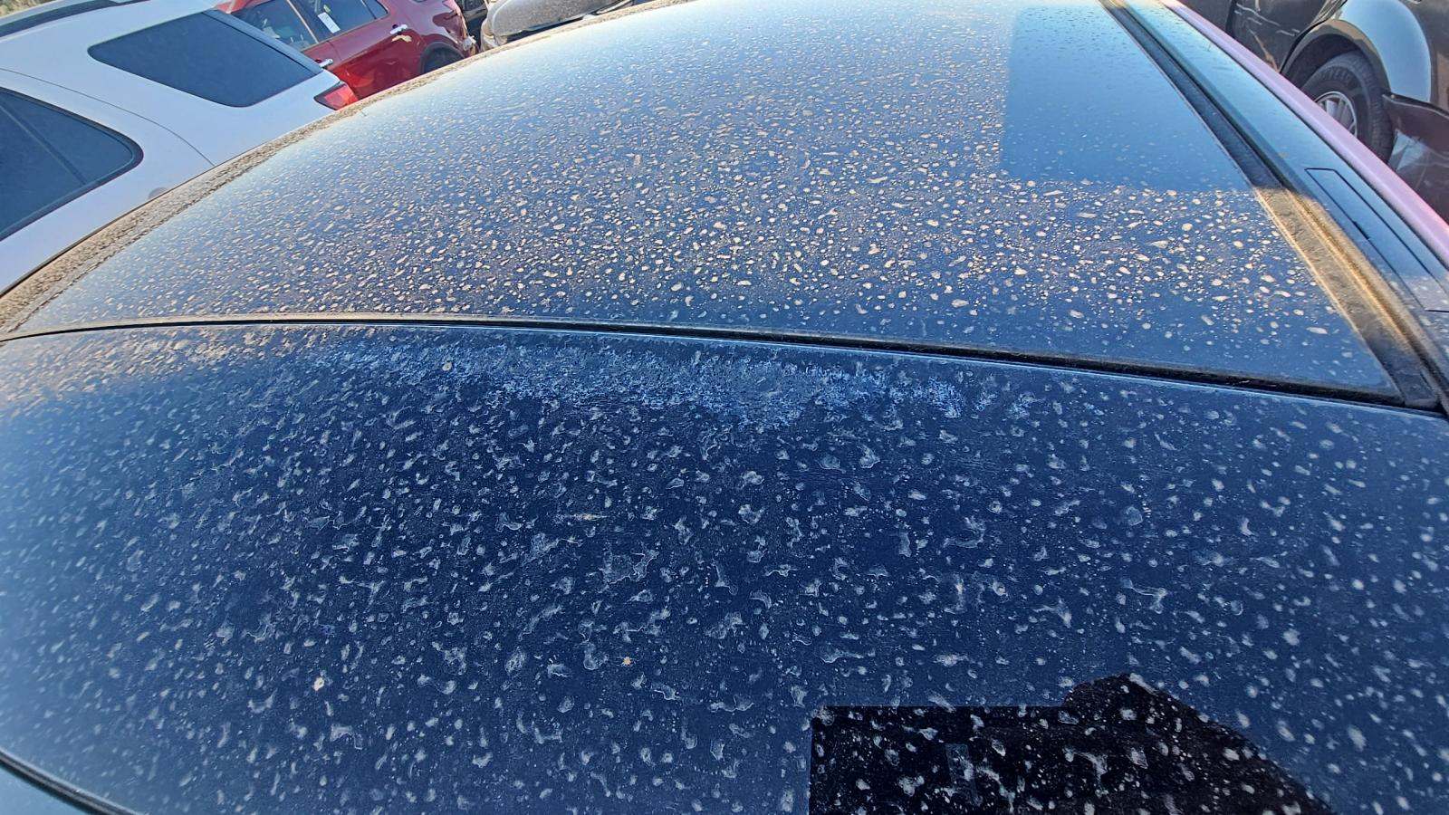 2023 Mercedes-Benz C-Class C 300 AWD