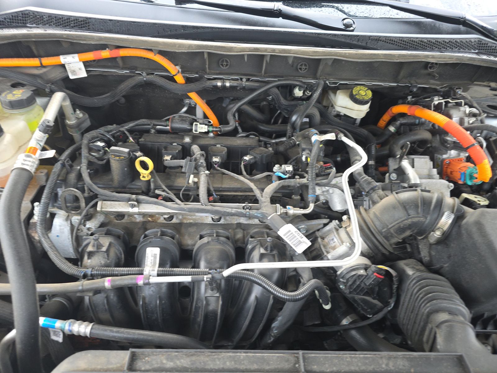 2023 Ford Escape Hybrid Platinum FWD