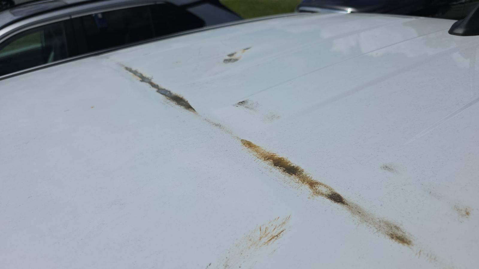 2019 Ford Ranger XLT RWD