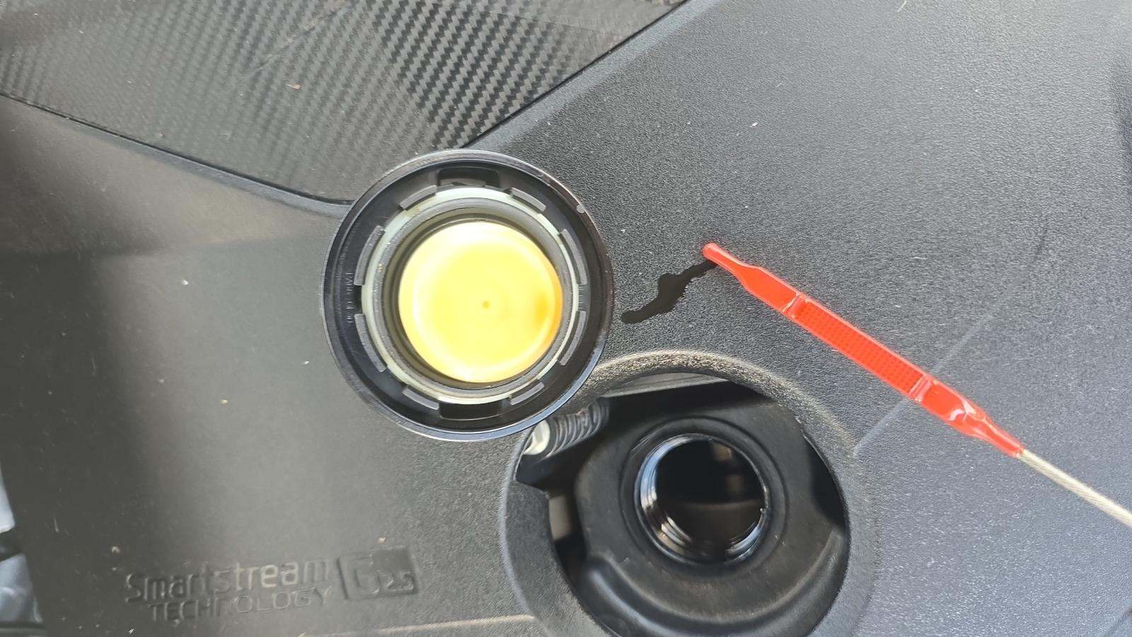 2024 Hyundai Tucson SEL FWD