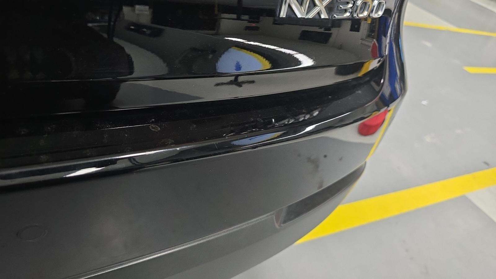 2021 Lexus NX NX 300 F SPORT AWD