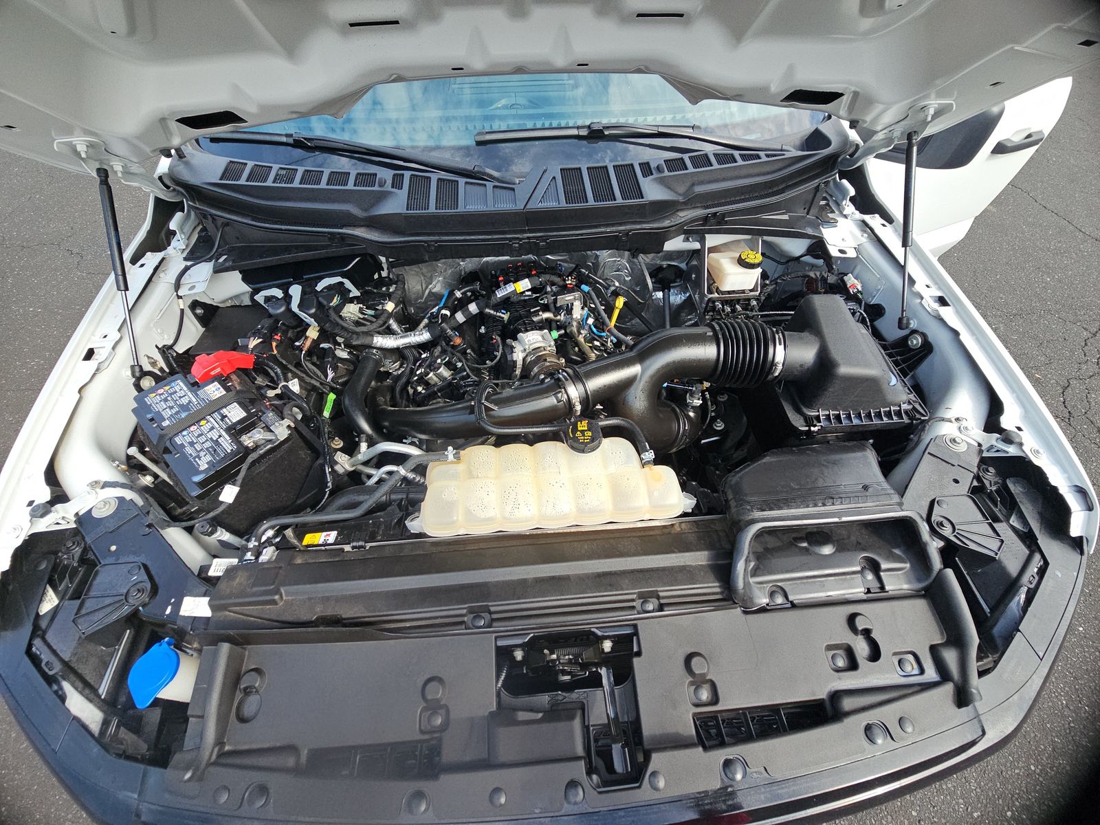 2024 Ford F-150 STX AWD