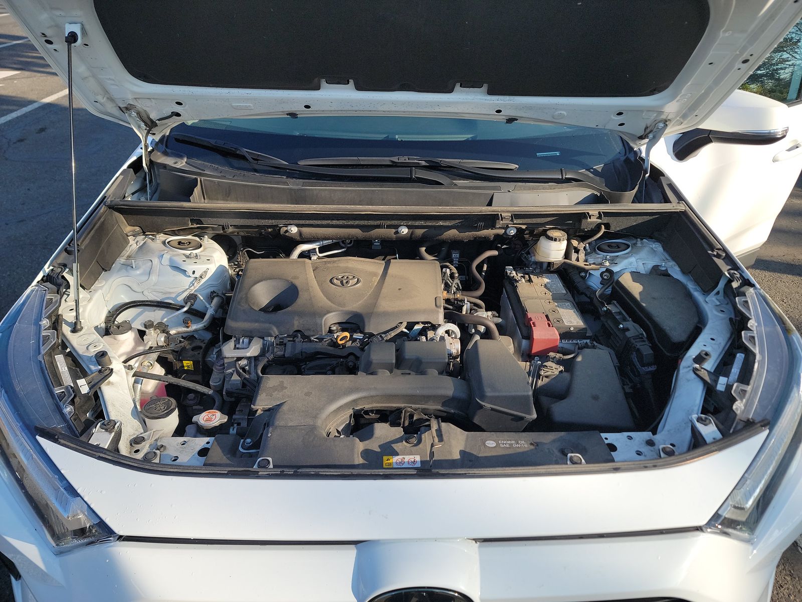 2024 Toyota RAV4 XLE FWD