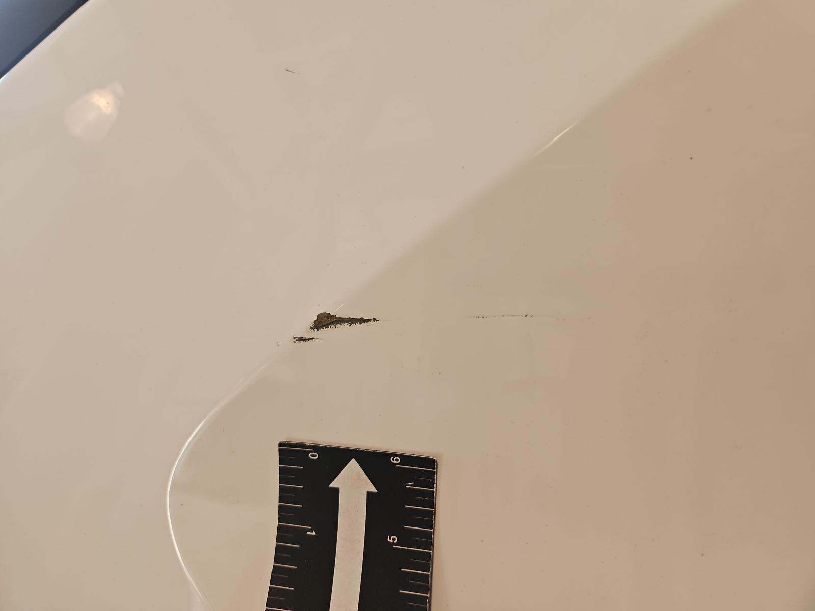 2024 Toyota RAV4 XLE FWD