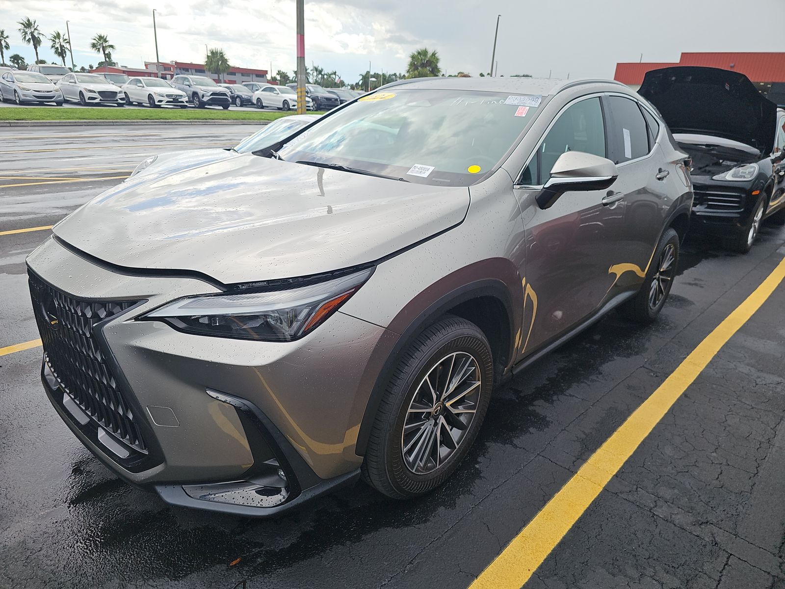 2024 Lexus NX 250
